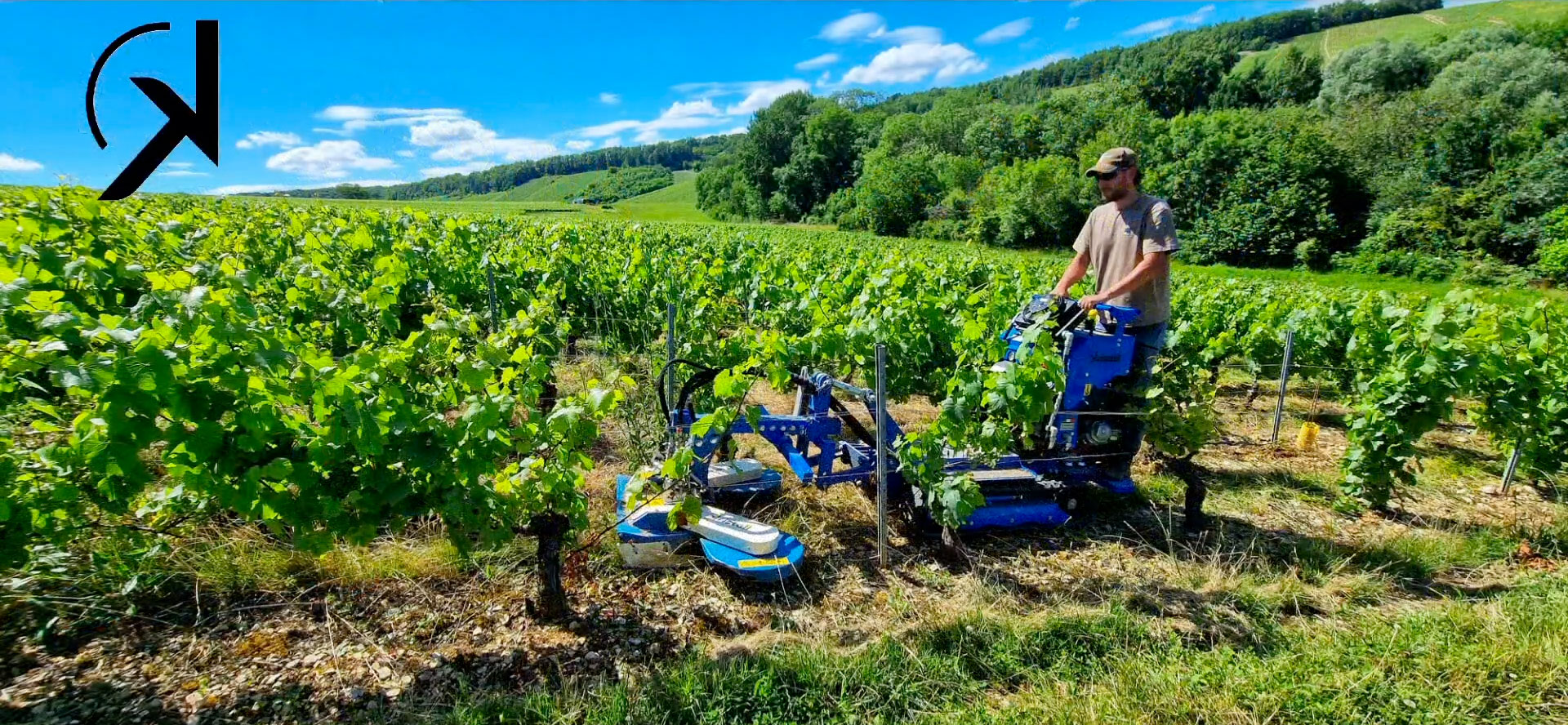 Tondeuse interceps Callisto en action dans les vignes