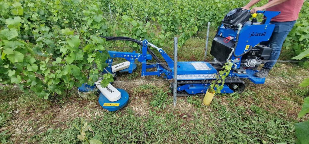 Tondeuse interceps Callisto en action dans les vignes